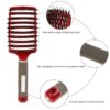 Hairbrush Anti Klit Brushy Haarborstel Women Detangler Hair Brush Bristle Nylon Scalp Massage  Teaser Hair Brush Comb - Image 2